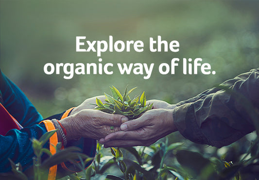 Organic Food – Kickstart Your Healthy Lifestyle.